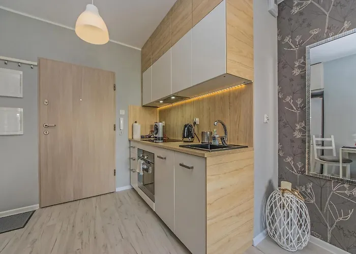 Lux Apartamento Pruszcz Gdański